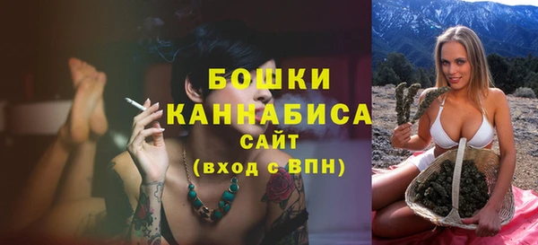 твердый Михайлов
