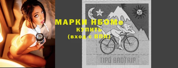 твердый Михайлов