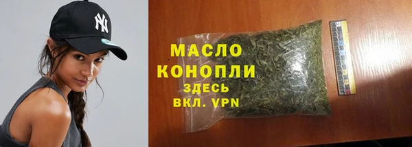 твердый Михайлов