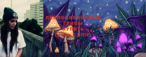 ПСИЛОЦИБИНОВЫЕ ГРИБЫ Бутурлиновка