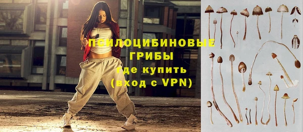 твердый Михайлов
