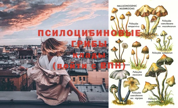 твердый Михайлов