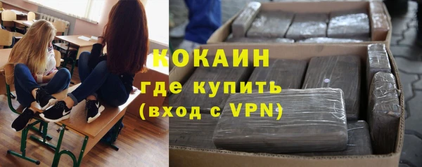 твердый Михайлов