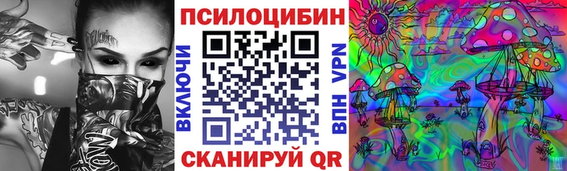 Галлюциногенные грибы Psilocybine cubensis  Мензелинск 