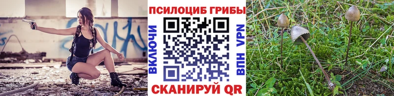 Псилоцибиновые грибы MAGIC MUSHROOMS Мензелинск